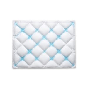 Disposable Pet Pee Pads with Odor Control