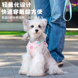 Adjustable Pet Harness and Leash Set for Small Dogs product image 2 - CZG Pet Store