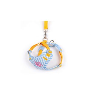 Adjustable Pet Harness and Leash Set for Small Dogs
