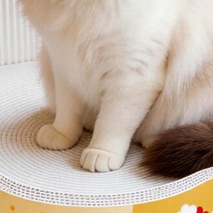 Flower-Shaped Cat Scratcher Bed product image 2 - CZG Pet Store