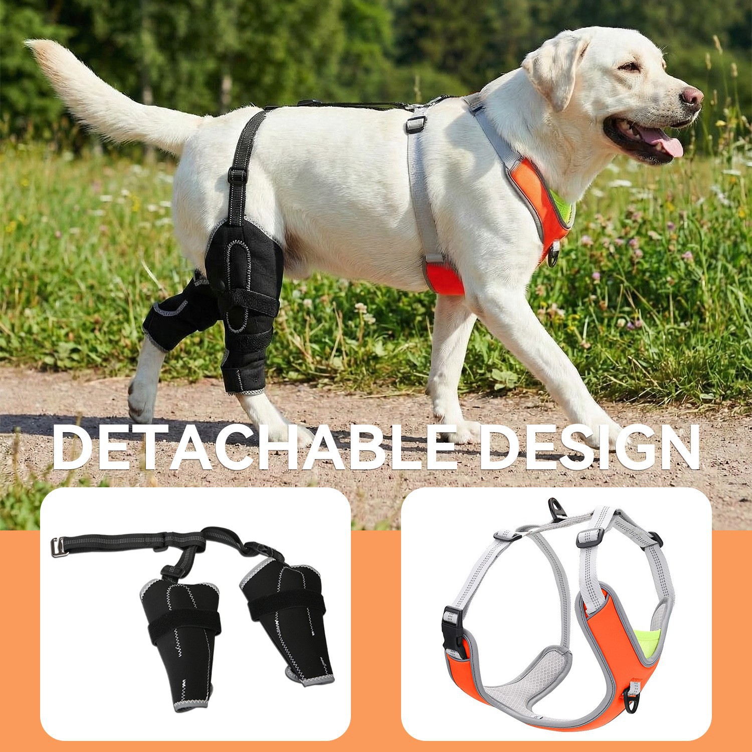Dog Harness with Leg Support β Medium to Large Dogs - Image 2