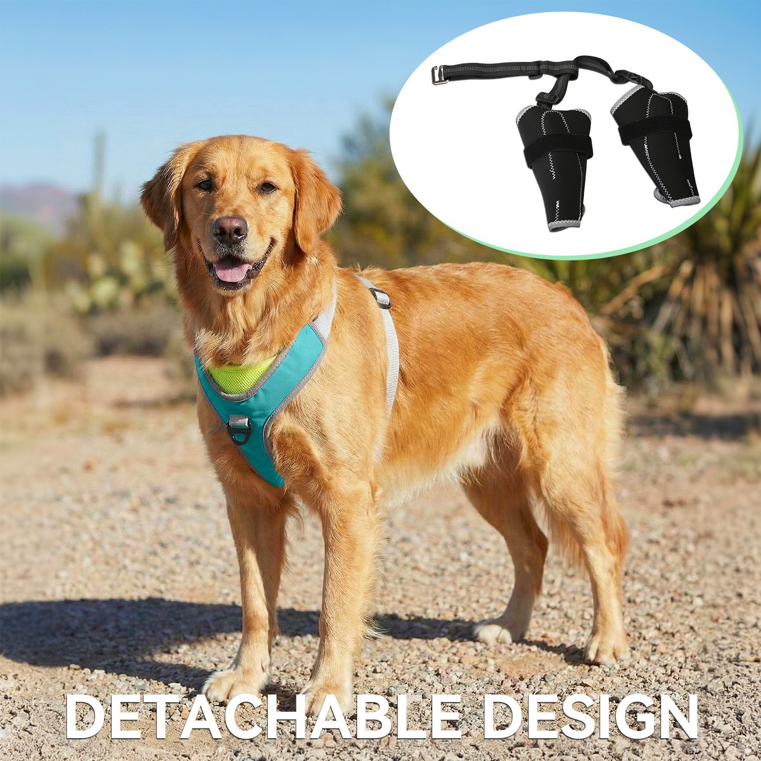 Dog Harness with Leg Support β Medium to Large Dogs - Image 3