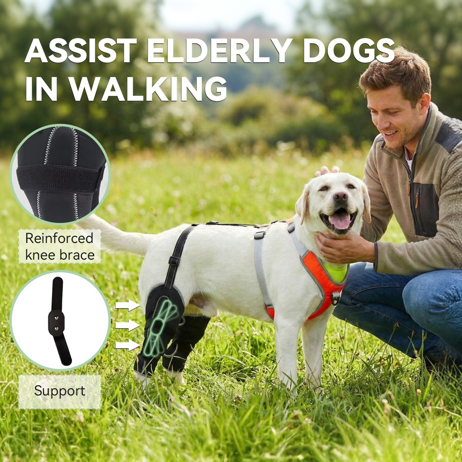 Dog Harness with Leg Support β Medium to Large Dogs - Image 5