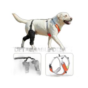 Dog Harness with Leg Support — Medium to Large Dogs
