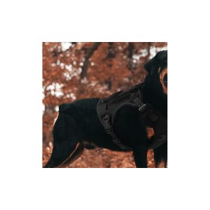 Breathable Mesh Dog Harness with Leash