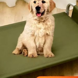 Foldable Pet Bed for Medium Dogs product image 2 - CZG Pet Store