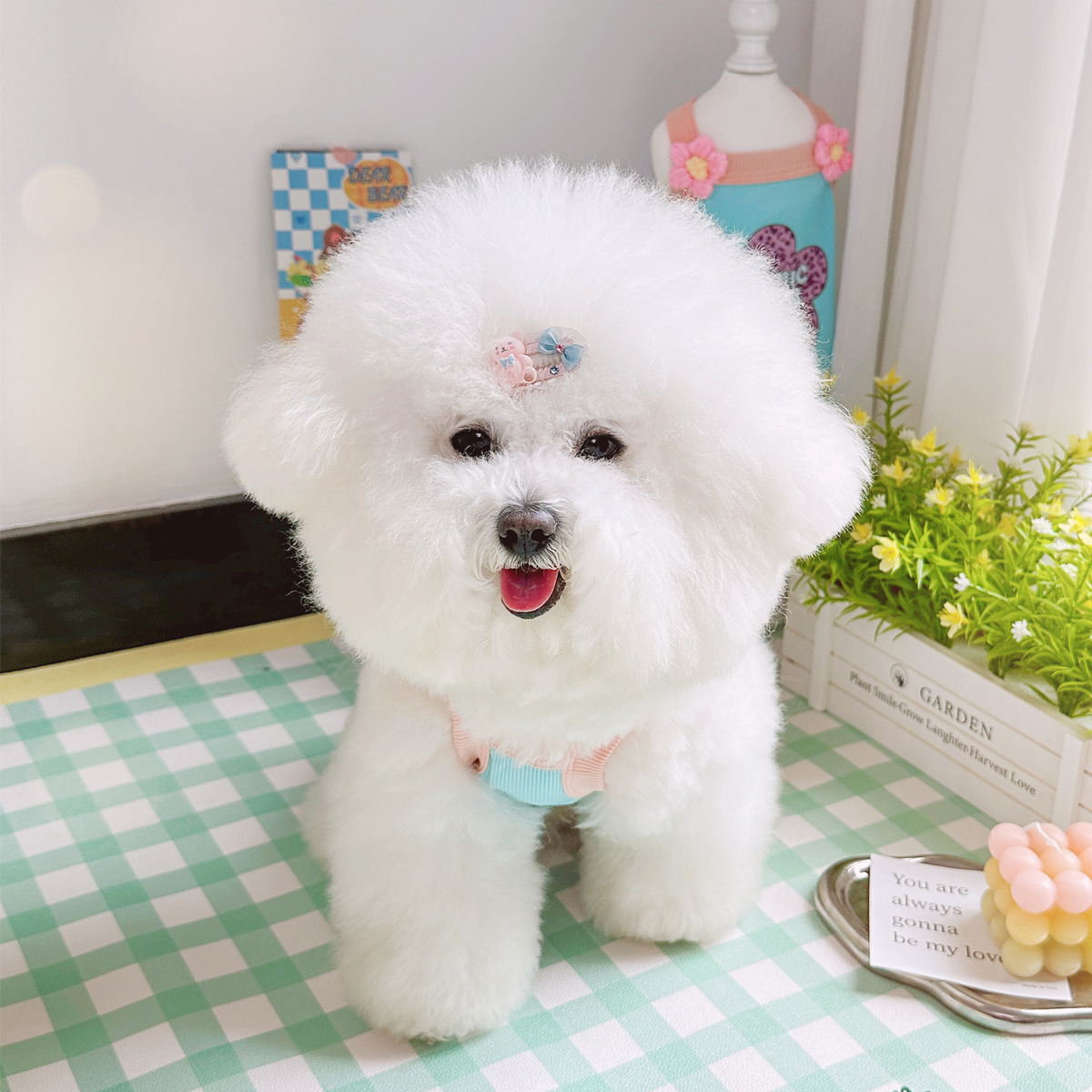 Lightweight Ice Cotton Pet Vest for Summer - Image 5