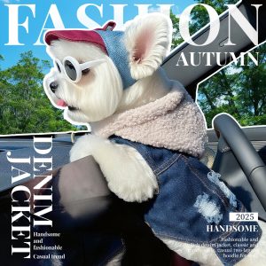 Lightweight Dog Vest for Summer product image 2 - CZG Pet Store