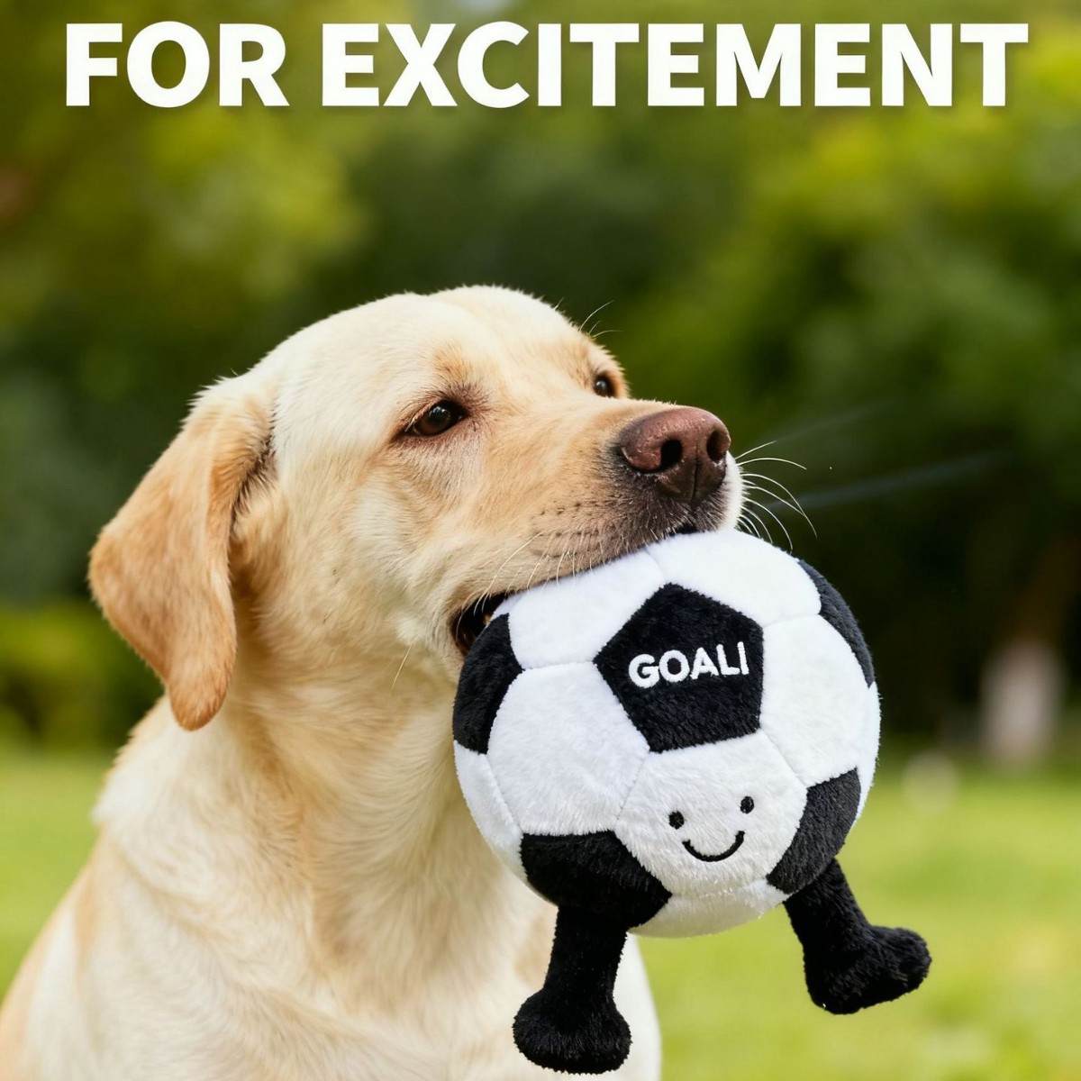 Dental Chew Toy for Dogs - Image 2