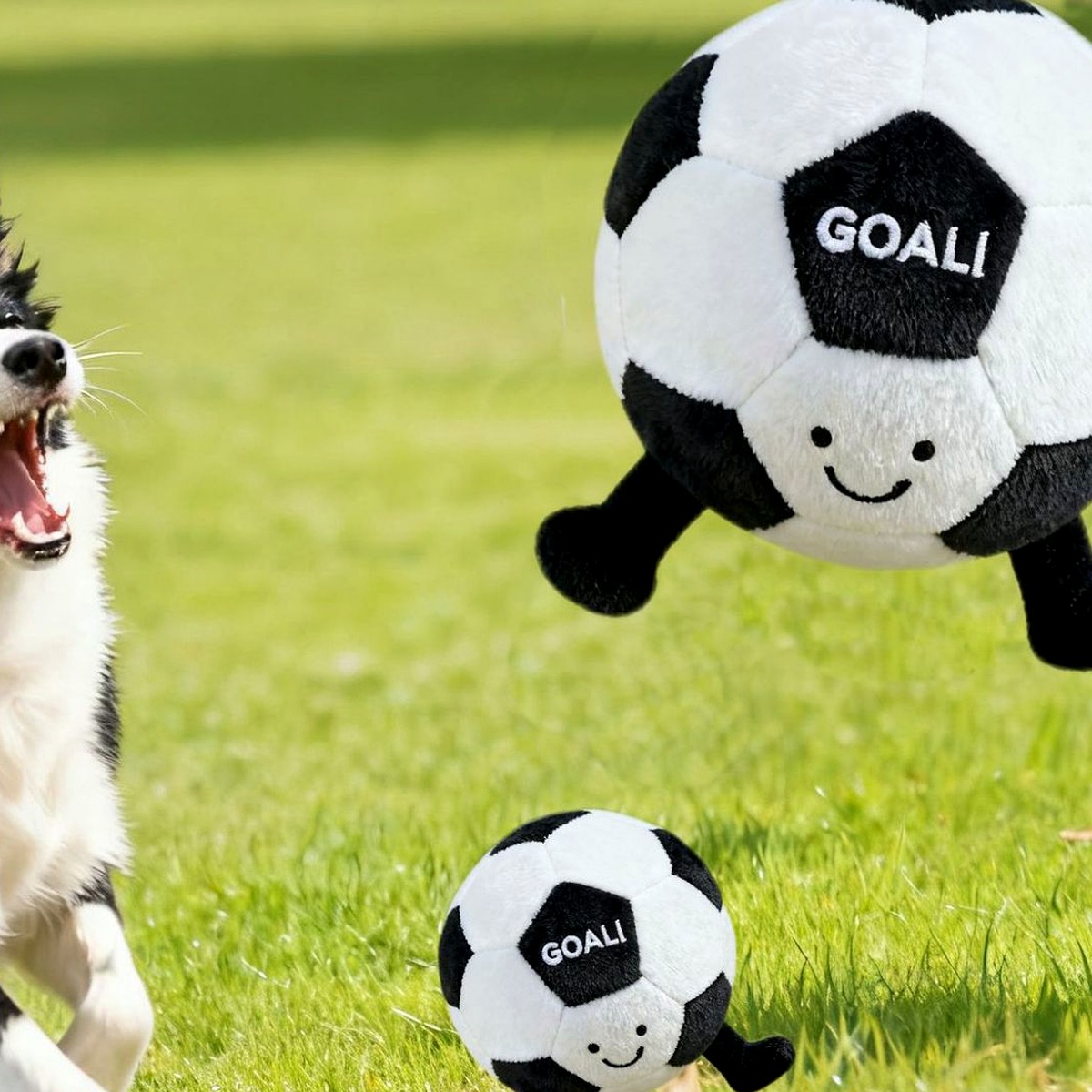 Dental Chew Toy for Dogs - Image 3