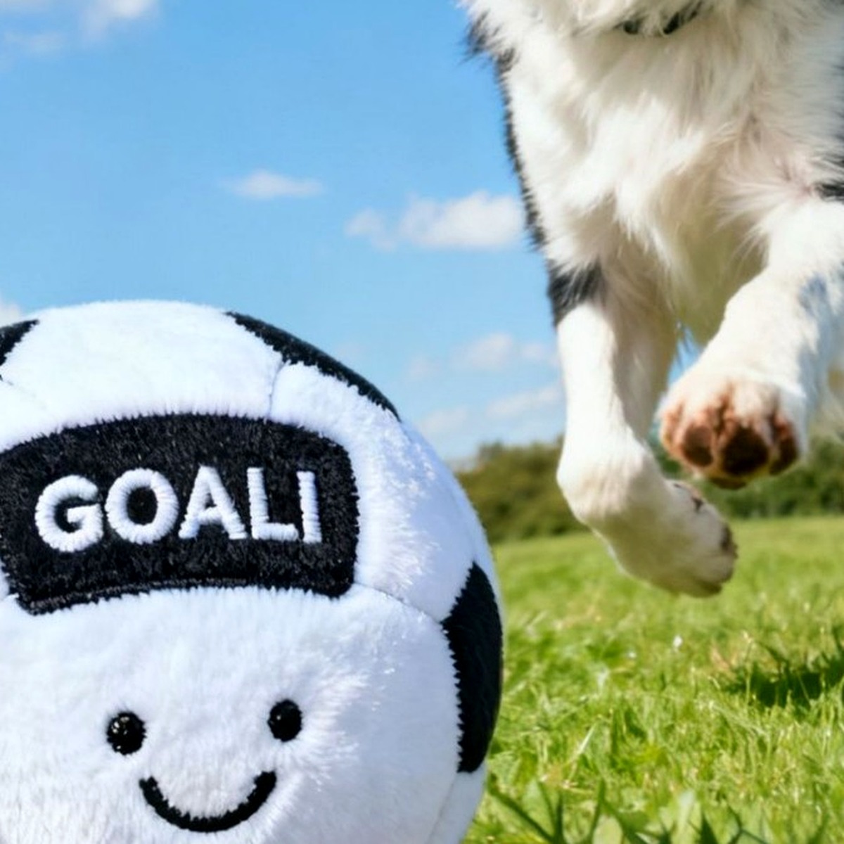 Dental Chew Toy for Dogs - Image 4