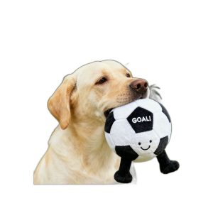 Dental Chew Toy for Dogs