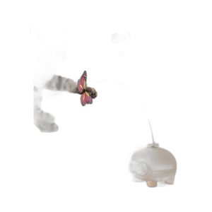 Catnip Toy for Kittens