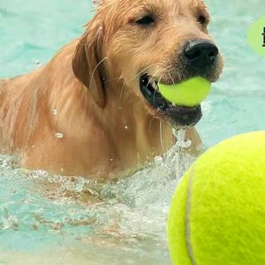 Rubber Dog Ball for Fetch and Chew product image 2 - CZG Pet Store