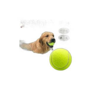Rubber Dog Ball for Fetch and Chew