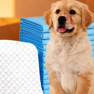 Pet Pee Pads for Dogs, Hamsters, and Rabbits